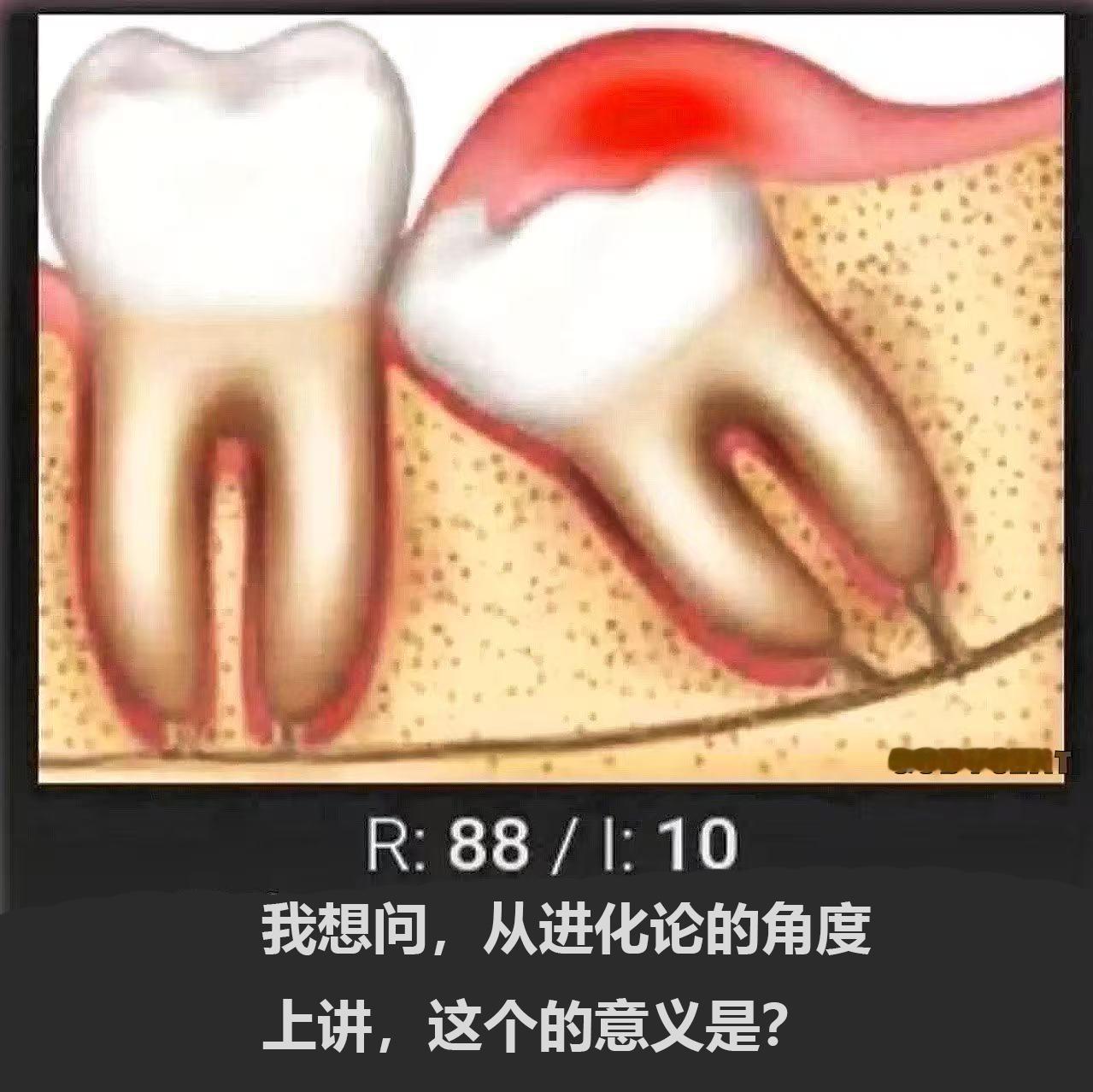 何意味 