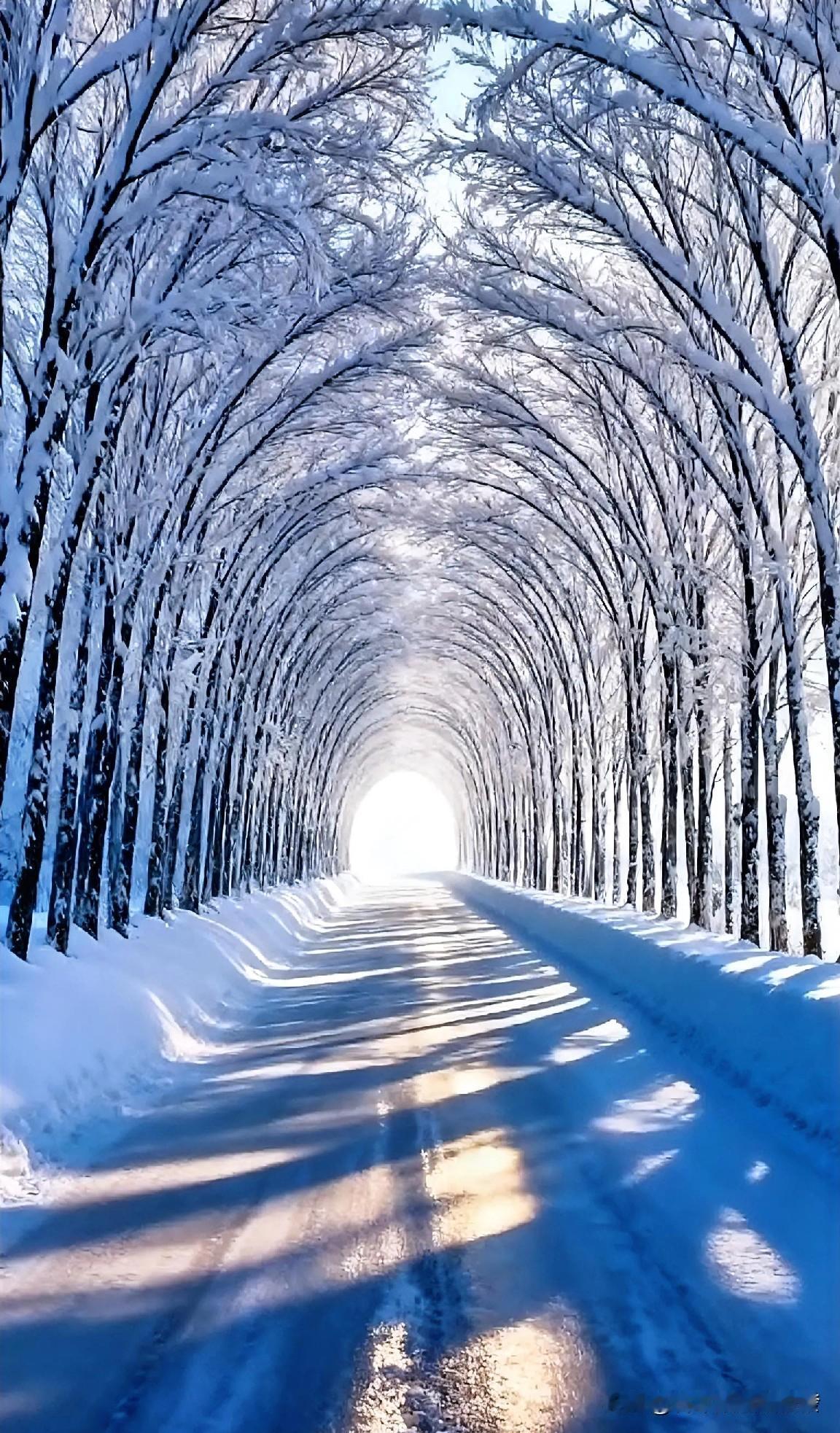 从早上7点多到现在，我已经写了4篇微头条了，一篇不到200的阅读量，其它3篇都是