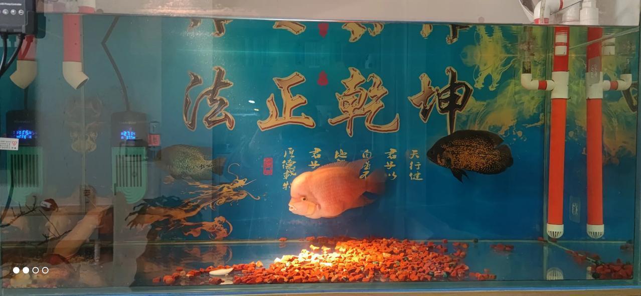实习律师第152天
        写好代理词很重要也很不容易。
       