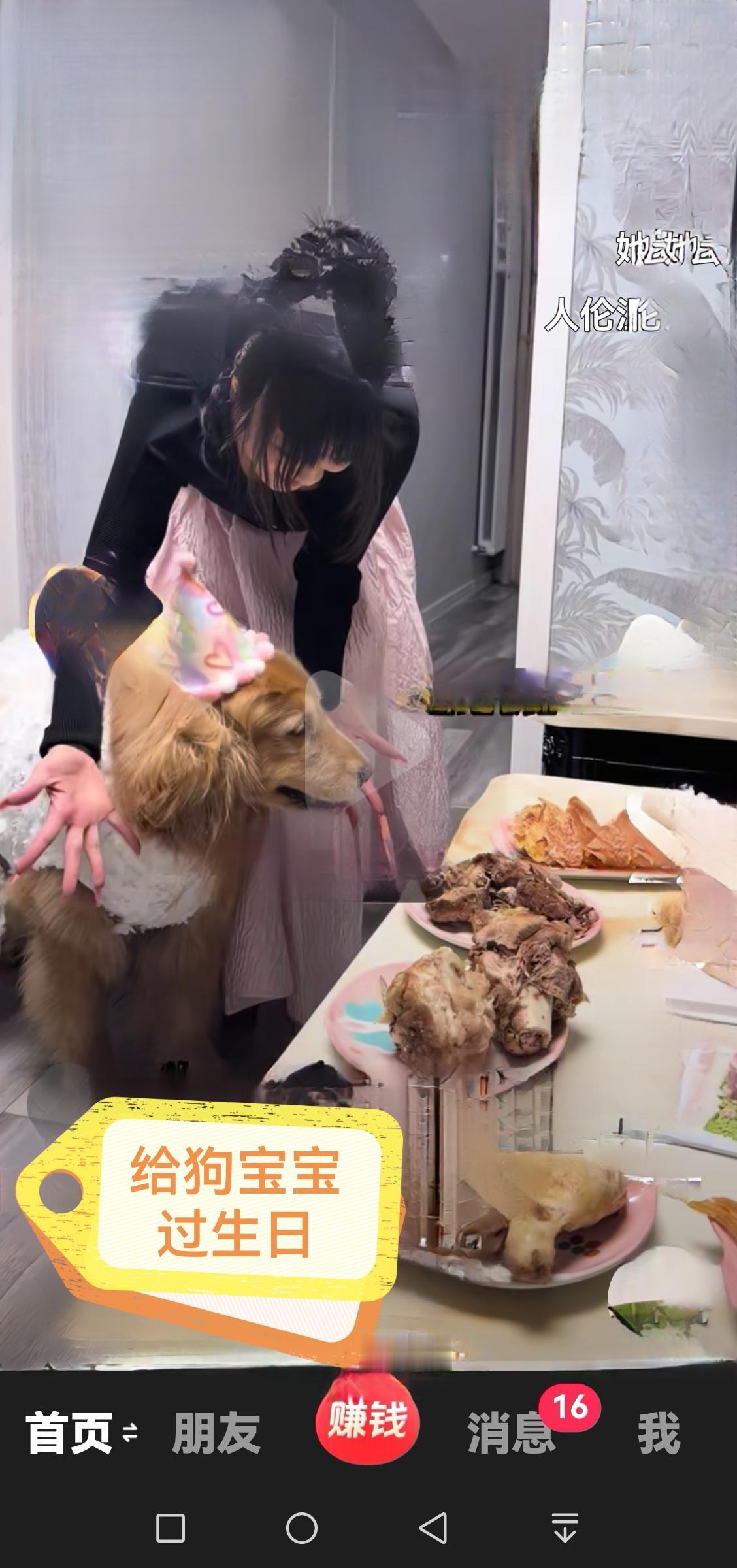 狗主人对狗狗真是用心了。