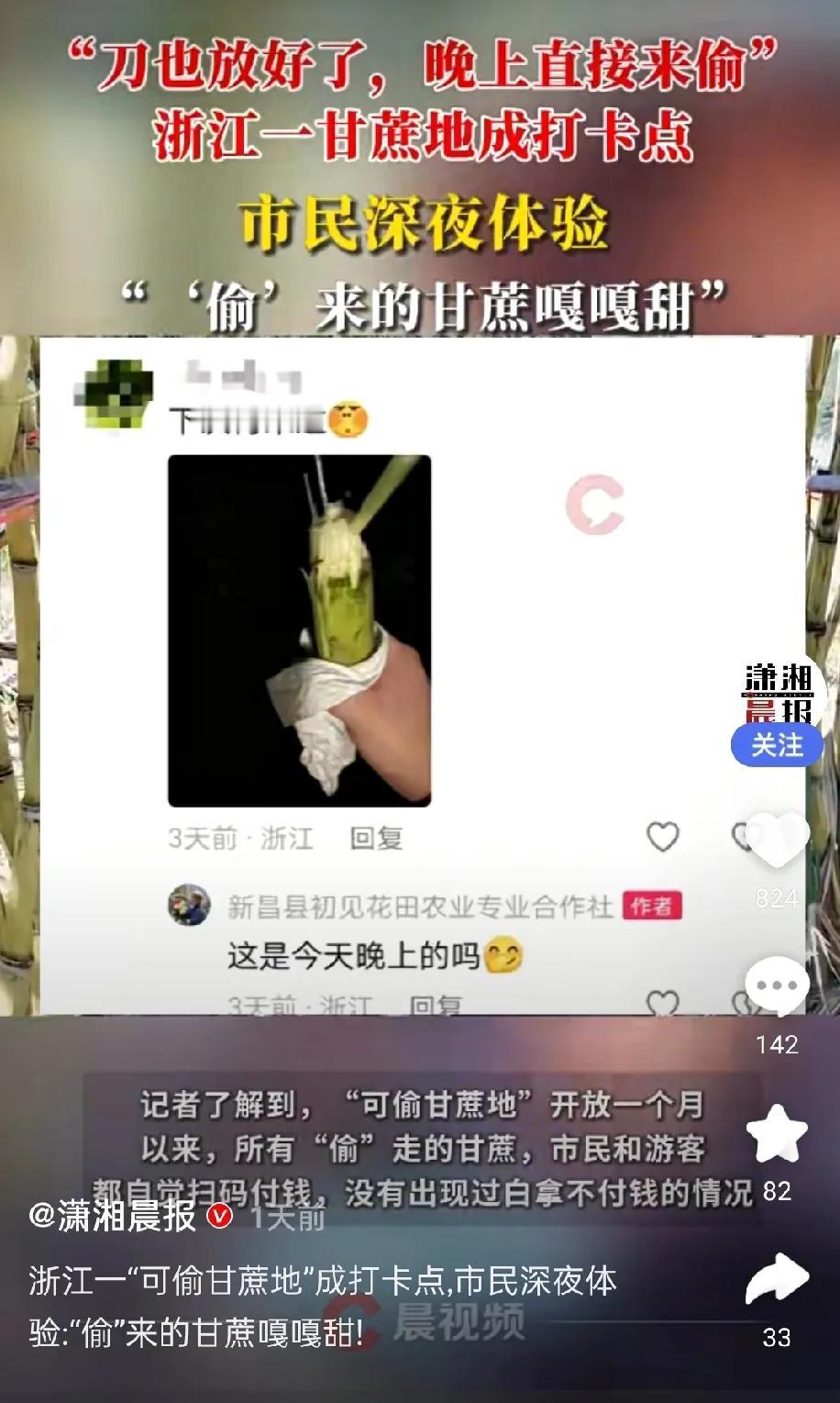 绍兴“可偷甘蔗地”爆火：花18元当回“贼”，是好玩还是触碰了法律红线？
10月2