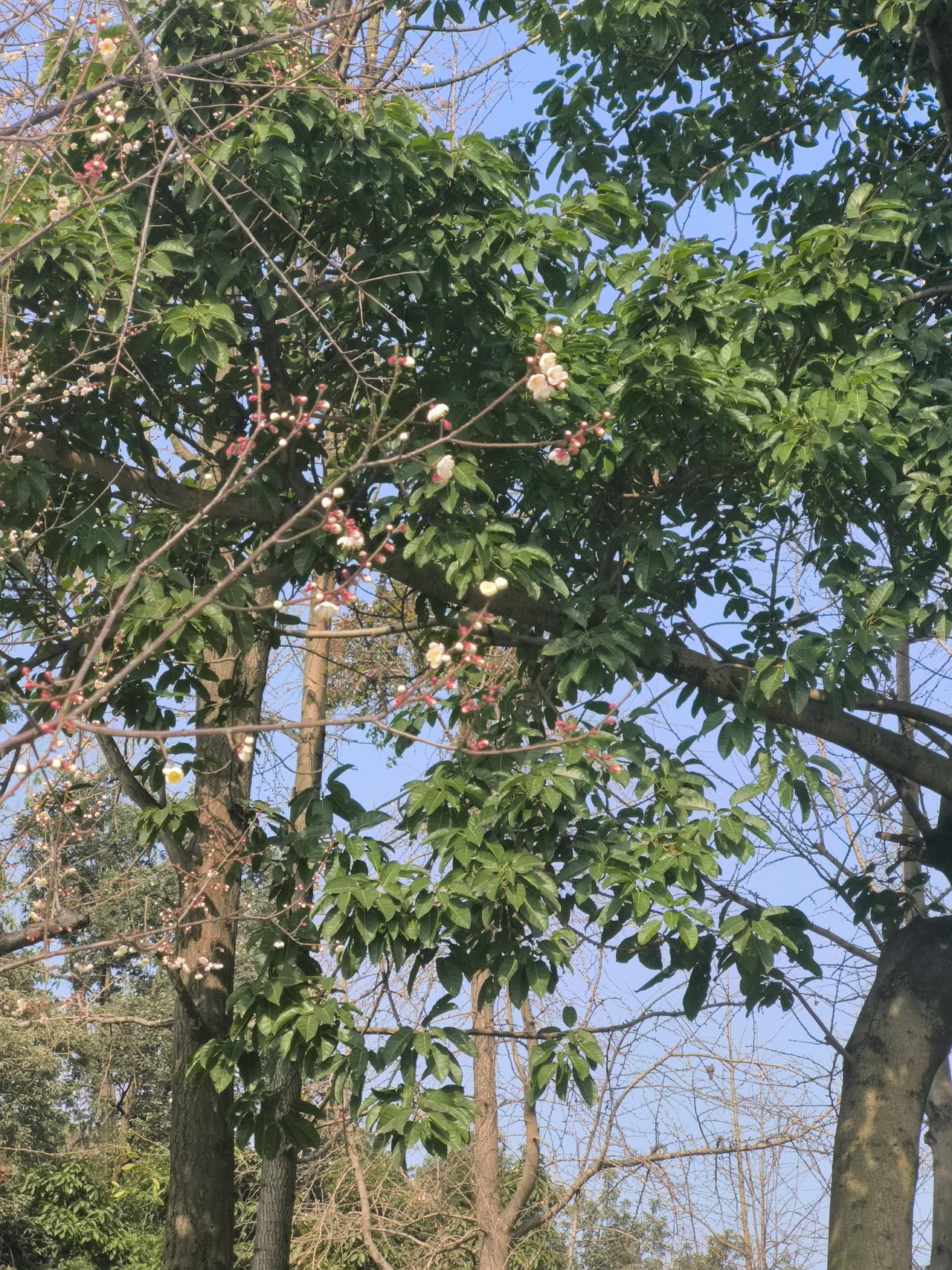 问大家一个问题
如果你只有3000元退休金
儿子在一线城市生活
你搬到儿子在的城