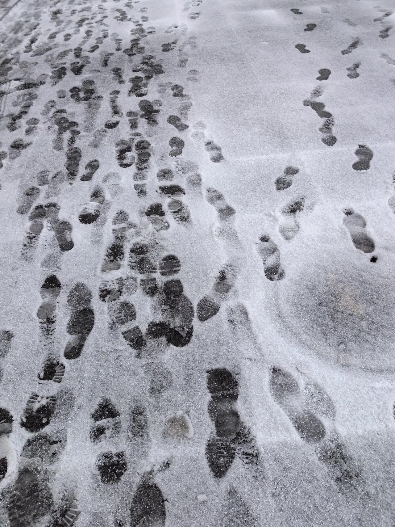 大连入冬第一场雪，来的并不容易，冷热交替，先是雨，后是冰颗粒，又是鹅毛大雪纷飞[