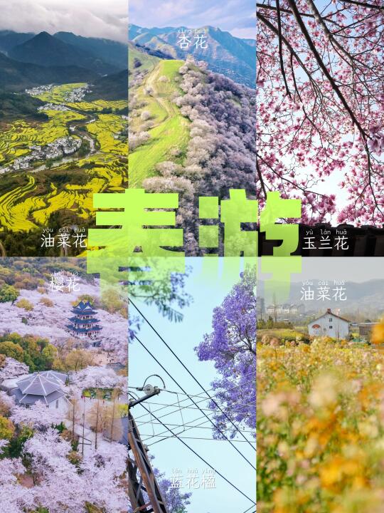 国内3-5月春日赏花🌸就去这22个地方～