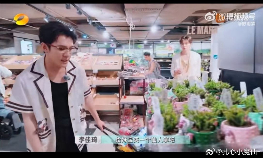 李佳琦把赵昭仪养的很好李佳琦对赵昭仪超宠的，记挂她的话、配合她的事，还会主动买她