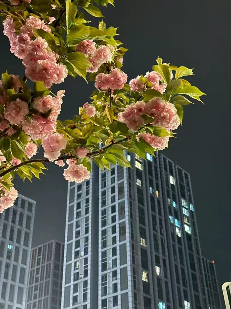 都懂得及时清零。
把烦恼清空，
把负面情绪丢掉，
远离让你不开心的人和事，
轻装