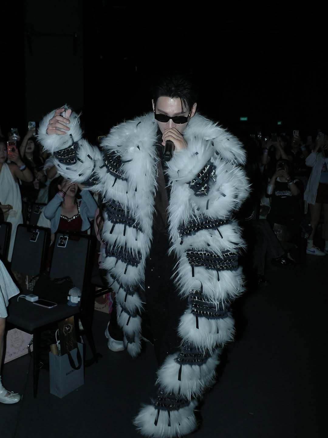 一大堆小咪来袭 
