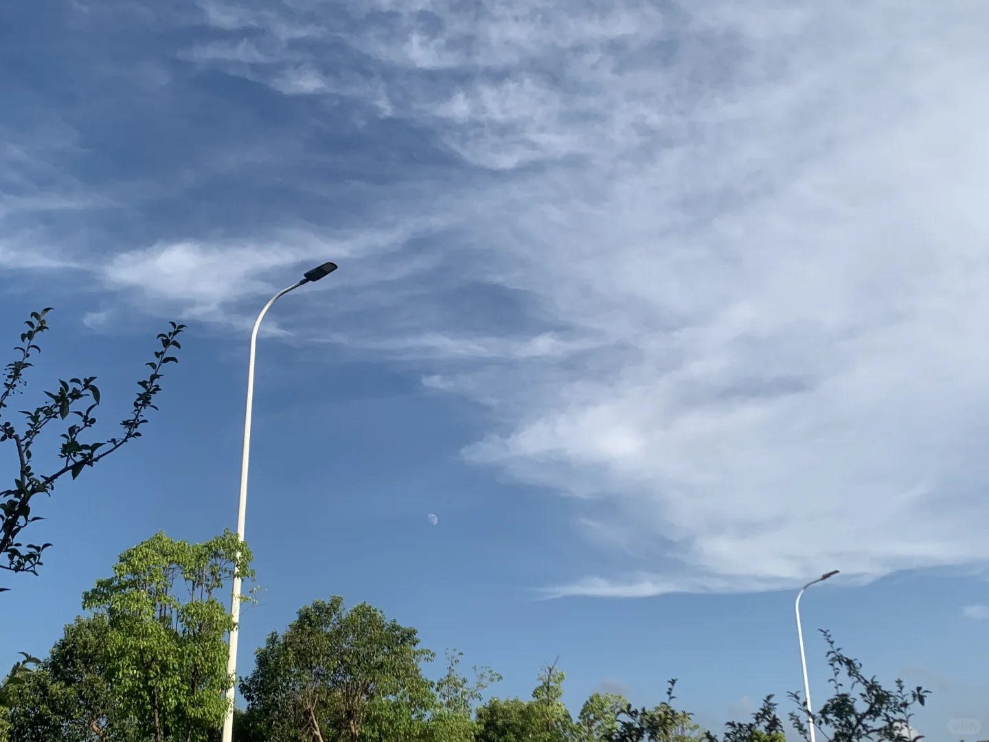 正畸收缝丝毫不动怎么办