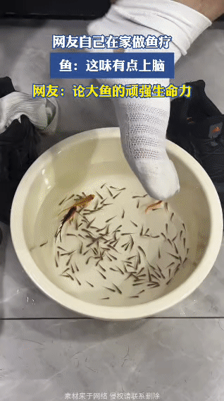 网友在家做鱼疗，结果成了草金的“封神”现场

网友突发奇想，在家自制鱼疗，把脚往