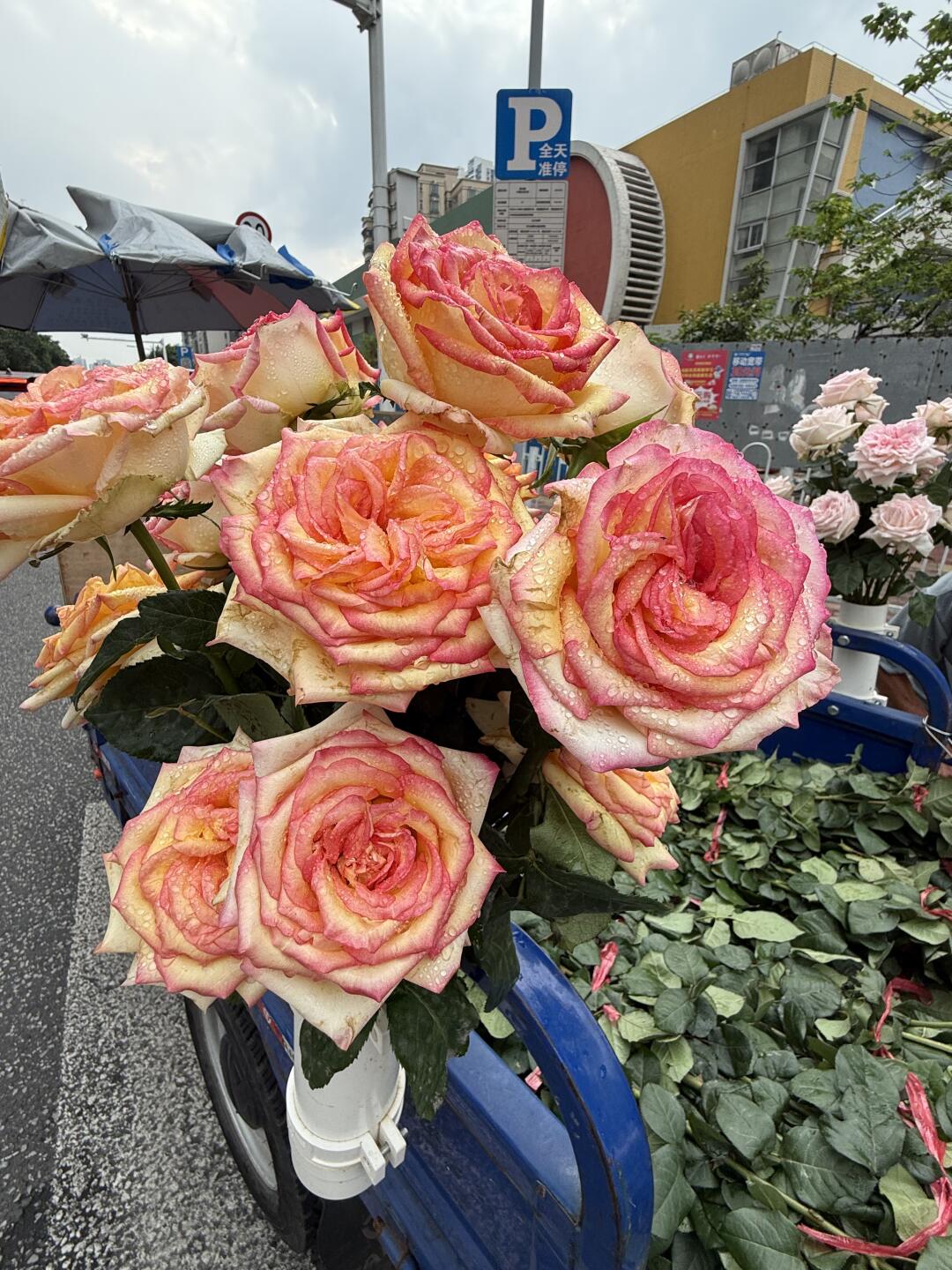 宝岗地铁口认准这个大叔！