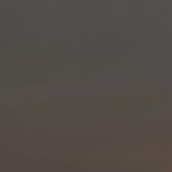 早起的鸟儿有虫吃，跑步去喽，有一起的吗？