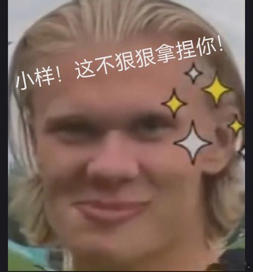 哈兰德绝杀破门哈兰德叔叔居然没有新表情包流出，小小年纪太有趣了哈哈哈，除了梅西和