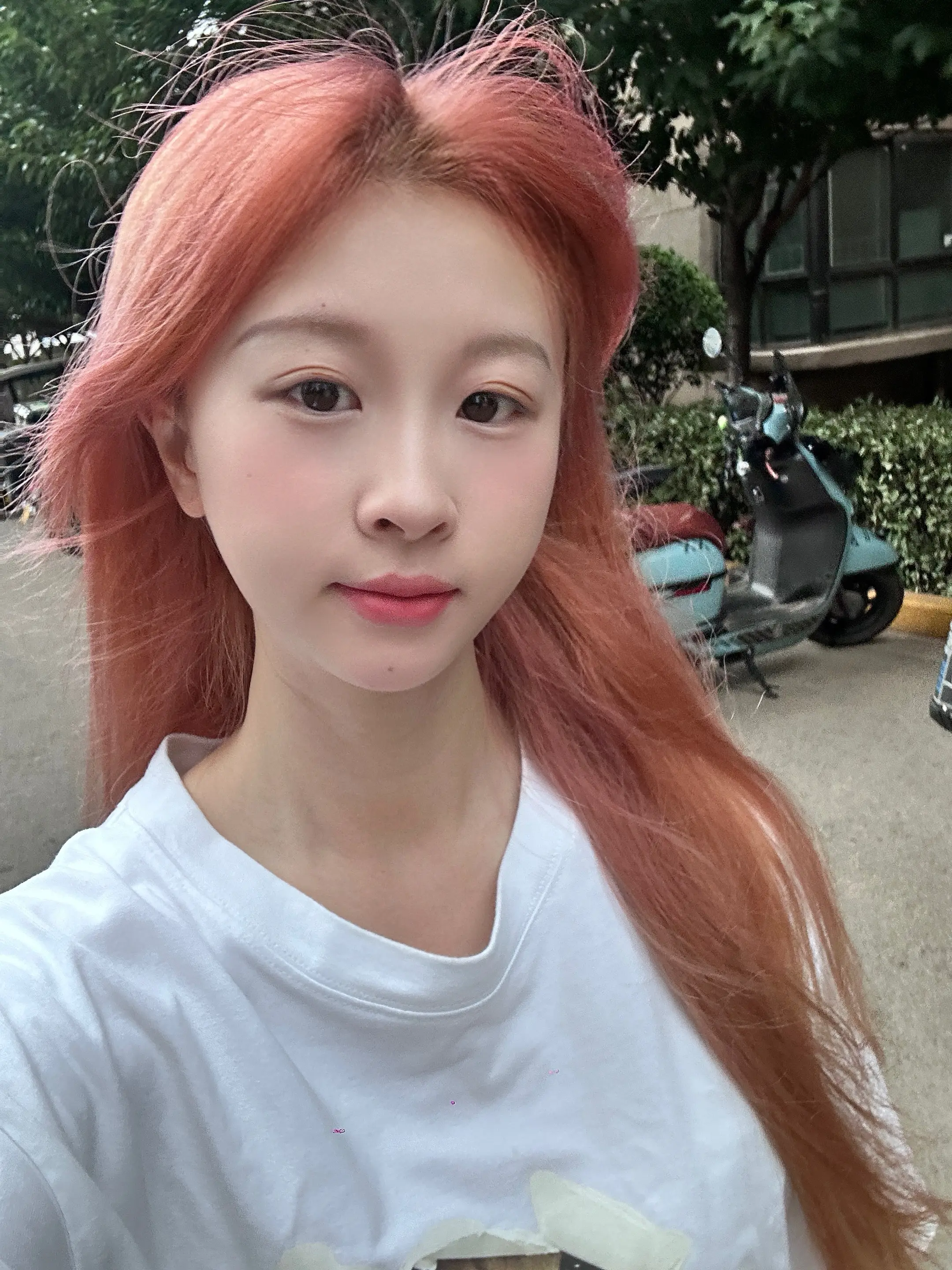 我气血虚 总喜欢蹲在地上在街边 在室内 在草坪 直到有一天我又蹲下 抬...