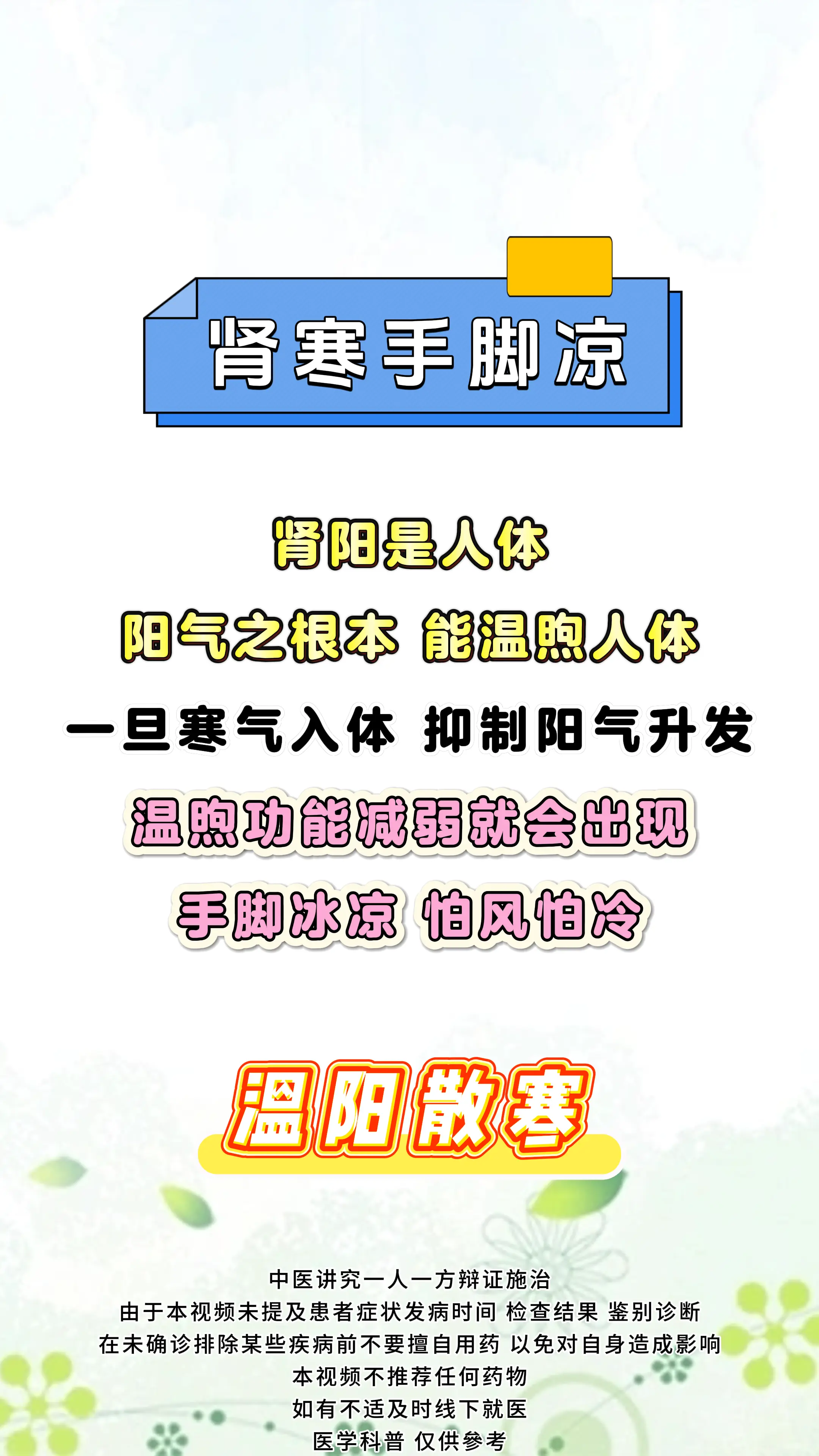 健康科普 肾 中医科普 涨知识