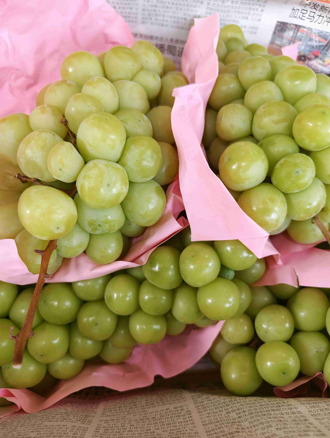 夏天的水果除了西瓜🍉还有葡萄🍇哦

阳光玫瑰、紫葡萄、红提、青提、巨峰葡萄…