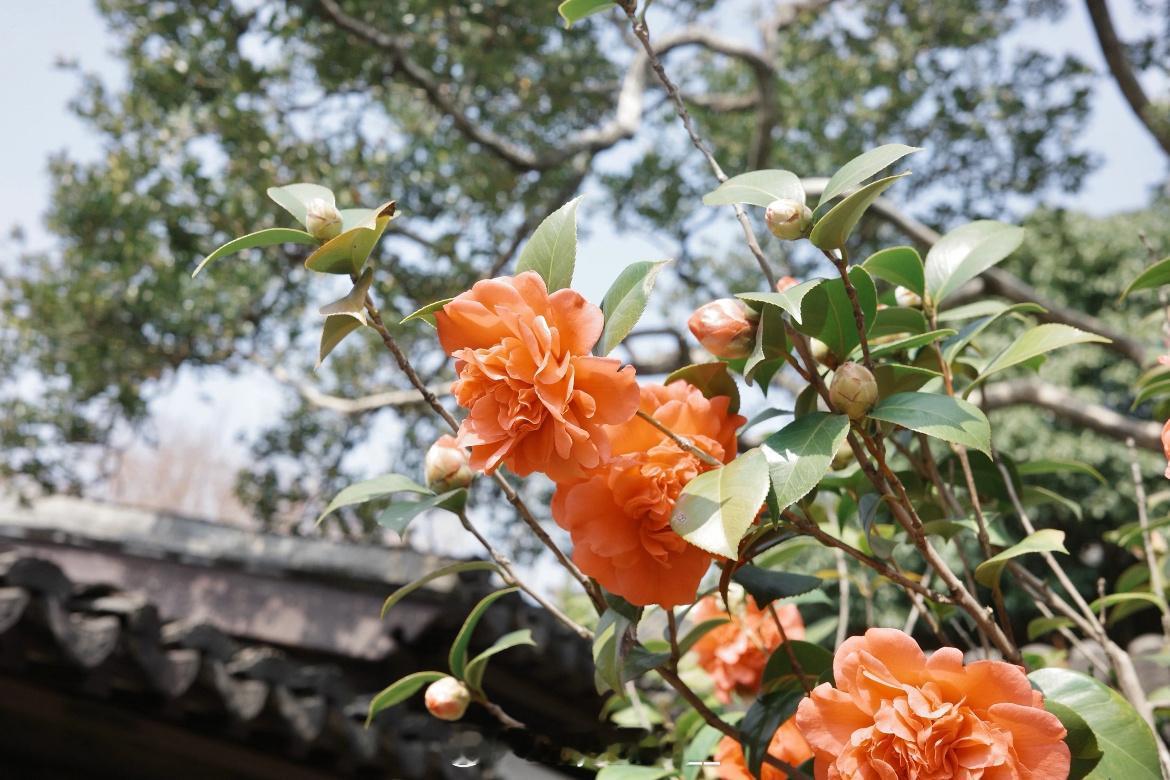 早安  🔆·ᴍᴏʀɴɪɴɢ〰🍃每一个清晨都是新的起点，做个拥抱幸福的人，管理
