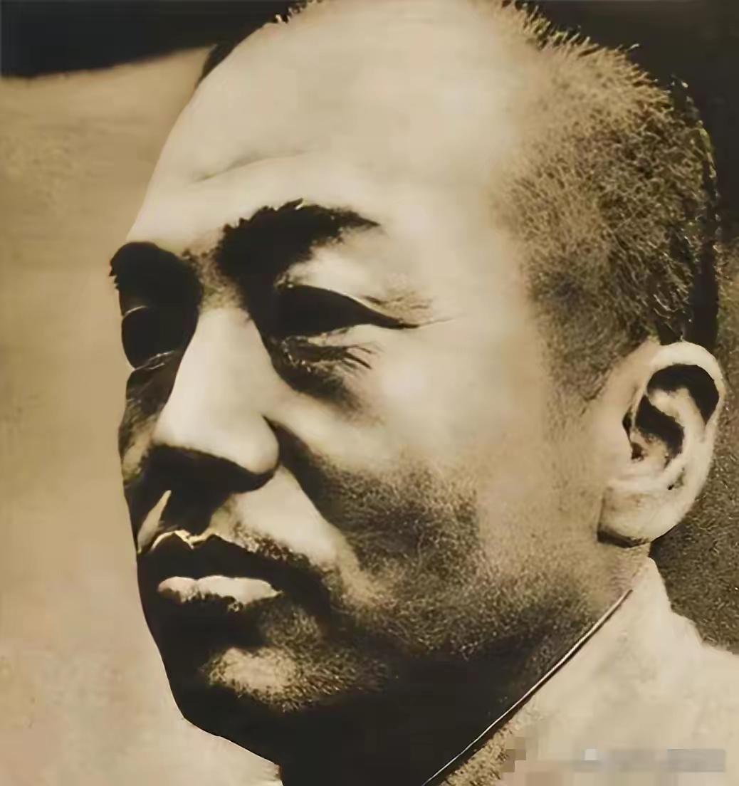 提起彭德怀，多数人脑海里会跳出横刀立马的猛将形象，但历史深处的他，相貌里藏着比战