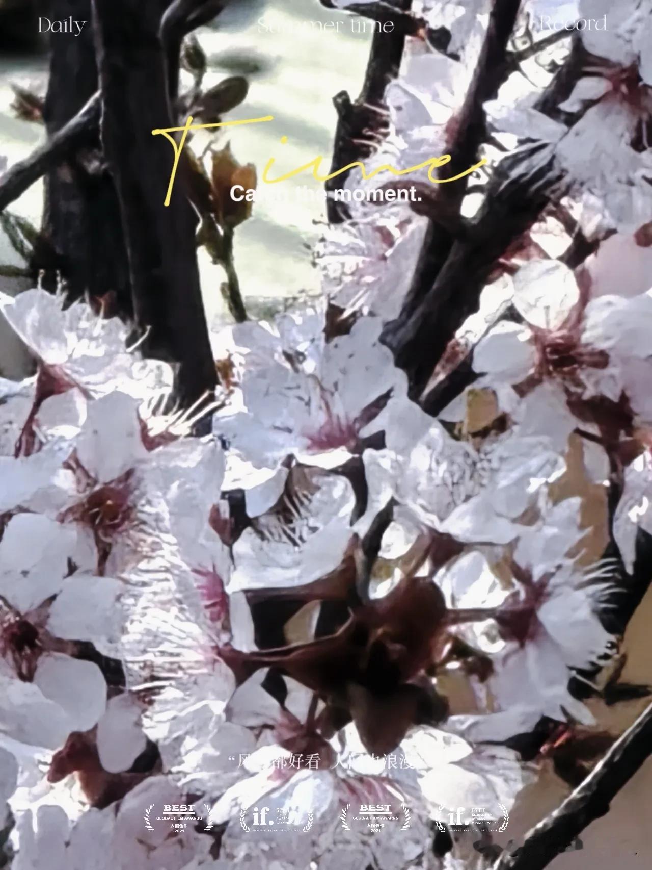 一树李花映窗台，
春风十里为君开。