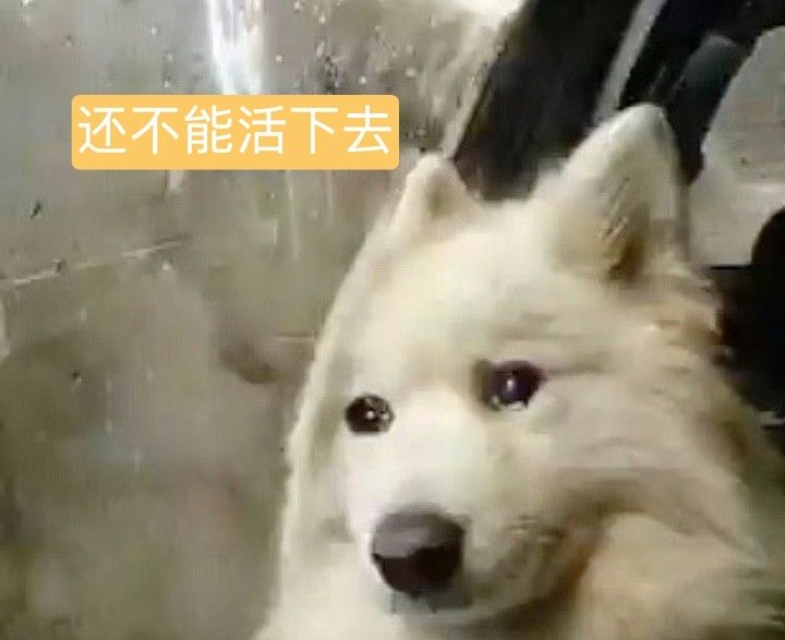白鹿工作室：喔 好险还活着 ​​​