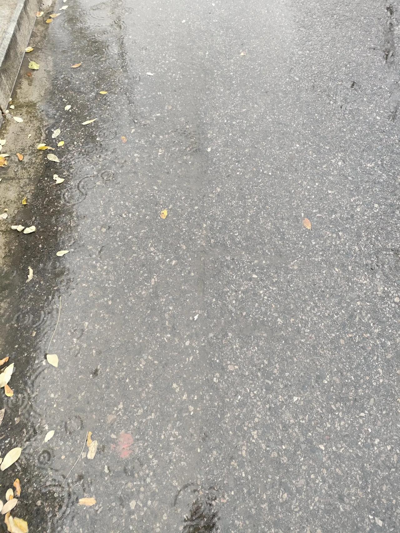 下雨了，冬季的雨。
满心以为，今天会下这个冬天的第一场雪，然而期待了好久，还是以