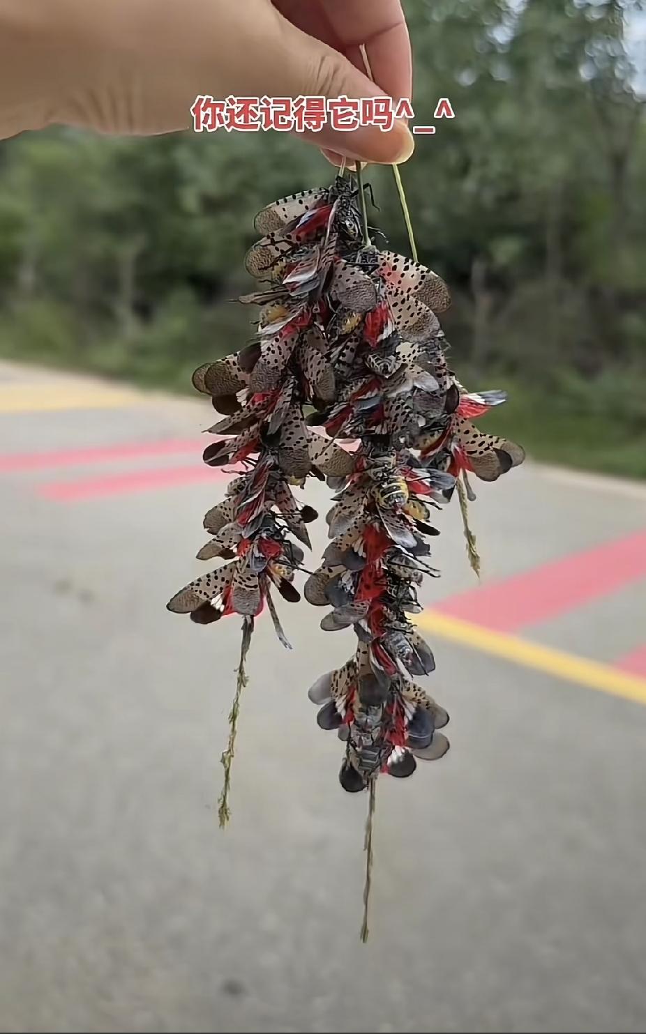 今天和一个医生朋友聊天
他很认真的跟我说
他说：每次问病史
问老伴还在不在的时候