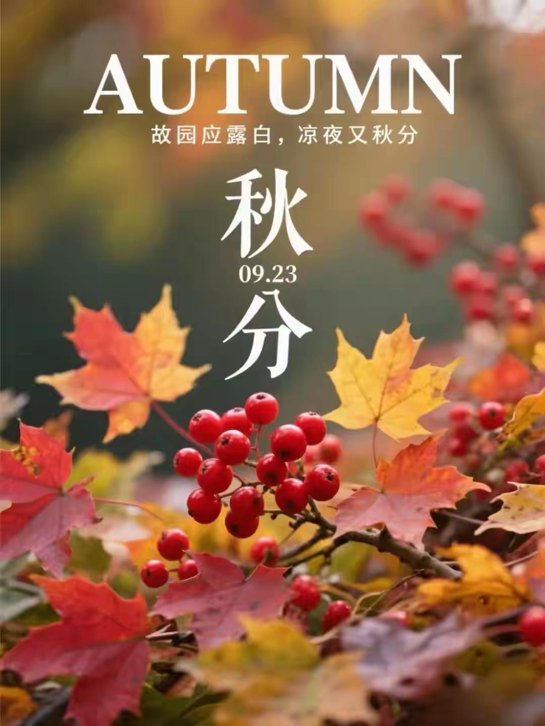 早安，你好！时序流转，秋分而至，今日秋分。万物褪去浮华，落叶沉淀自愈。所有的耕耘