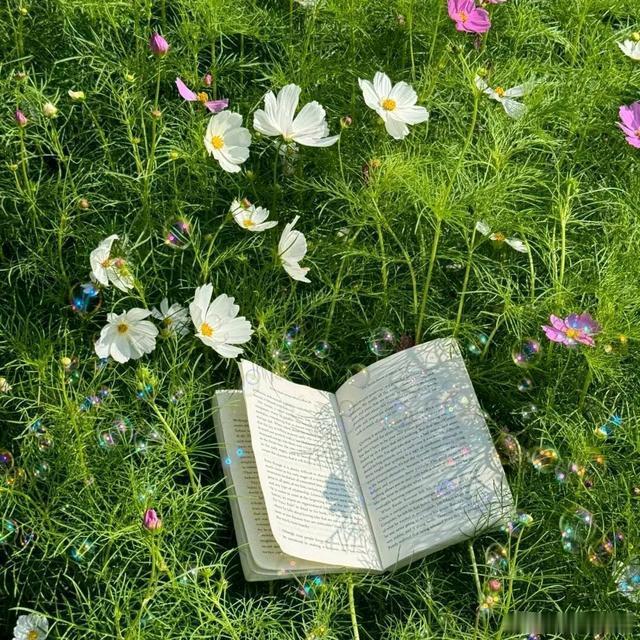 早安 生活看似平淡无奇日复一日，却在细碎时光里，悄悄酝酿着温柔与惊喜。早安 