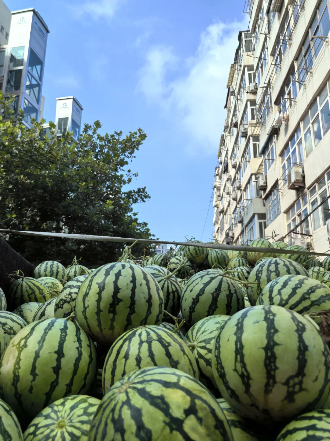 8.17青岛街头实况 看看早市蔬菜价格涨了没