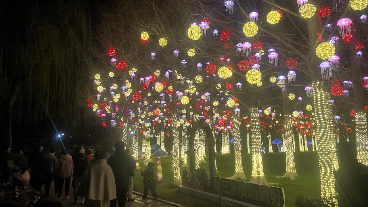 五龙潭花灯依旧