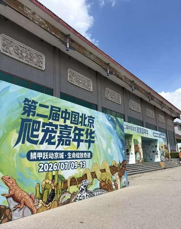 第二届北京爬宠嘉年华倒计时2天！双馆探馆实拍🦎
提前潜入现场，双场馆全面升级太
