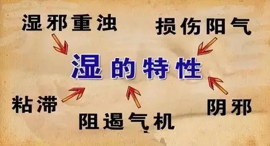 愿您身体康健，远离湿邪侵扰，阳气充沛活力满！

愿您的生活如阳光般明媚，湿气不侵