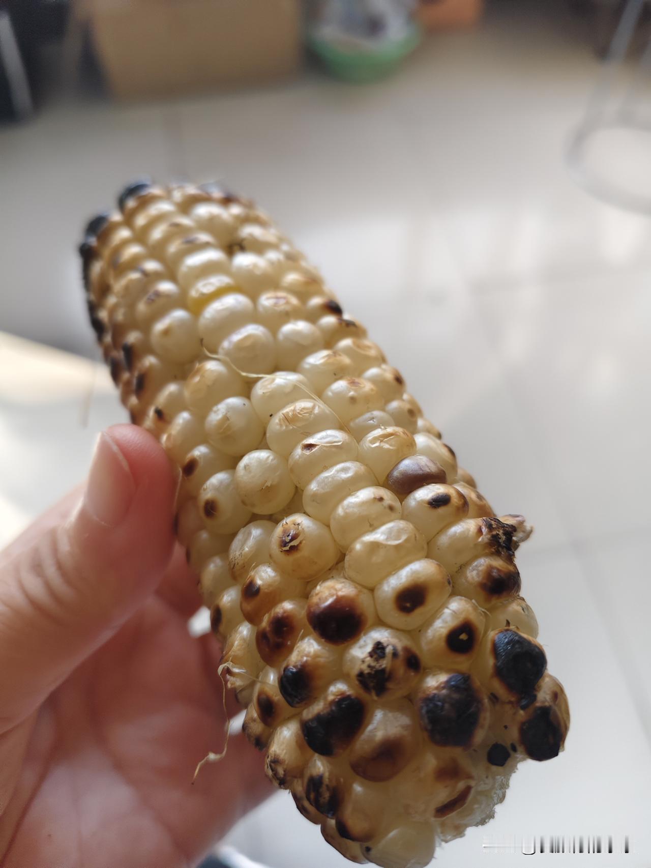晒图笔记大赛一穗烤熟的玉米，香香甜甜的，吃到嘴里，软软糯糯的，妥妥的东北吃货必选