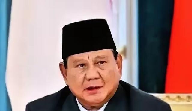 这回印尼是真不装了，直接把桌子给掀了。 

此次印尼并非仅提高税收，而是将资源出
