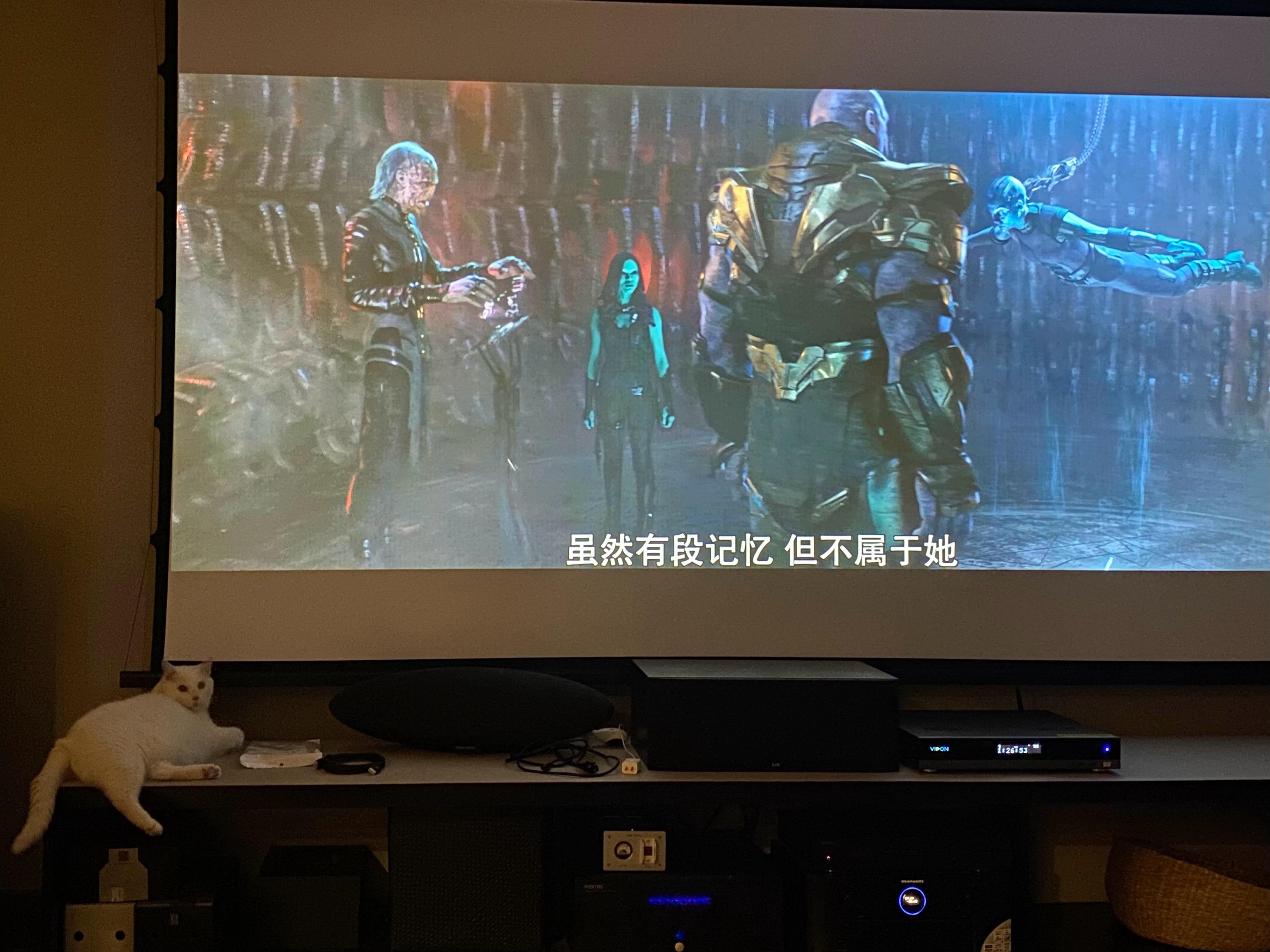 猫是懂C位的…（一会儿你爹就来揍你）[允悲][允悲][允悲] ​​​