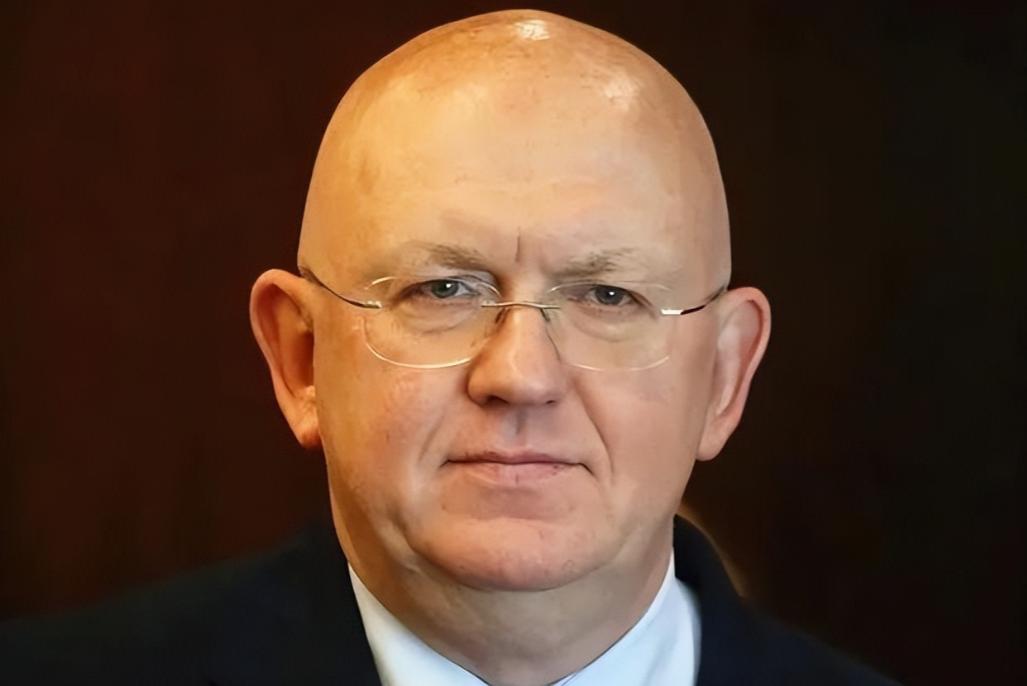 痛批！联合国关于美国侵略委内瑞拉的紧急会议结束了，看了一下俄罗斯代表的发言，那简