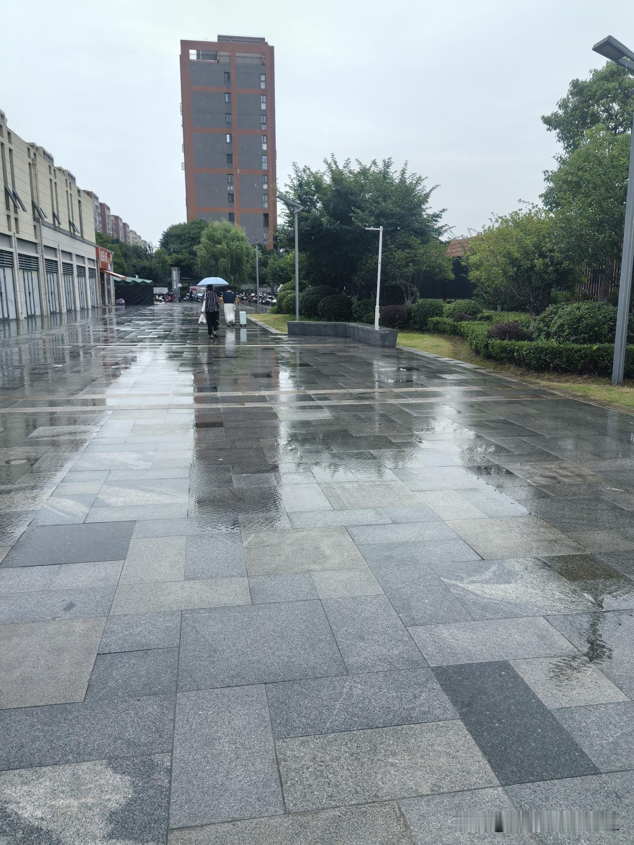 危险无处不在。
今天武汉又下雨了。应该说是从昨晚就开始下了，今天早上地湿漉漉的。