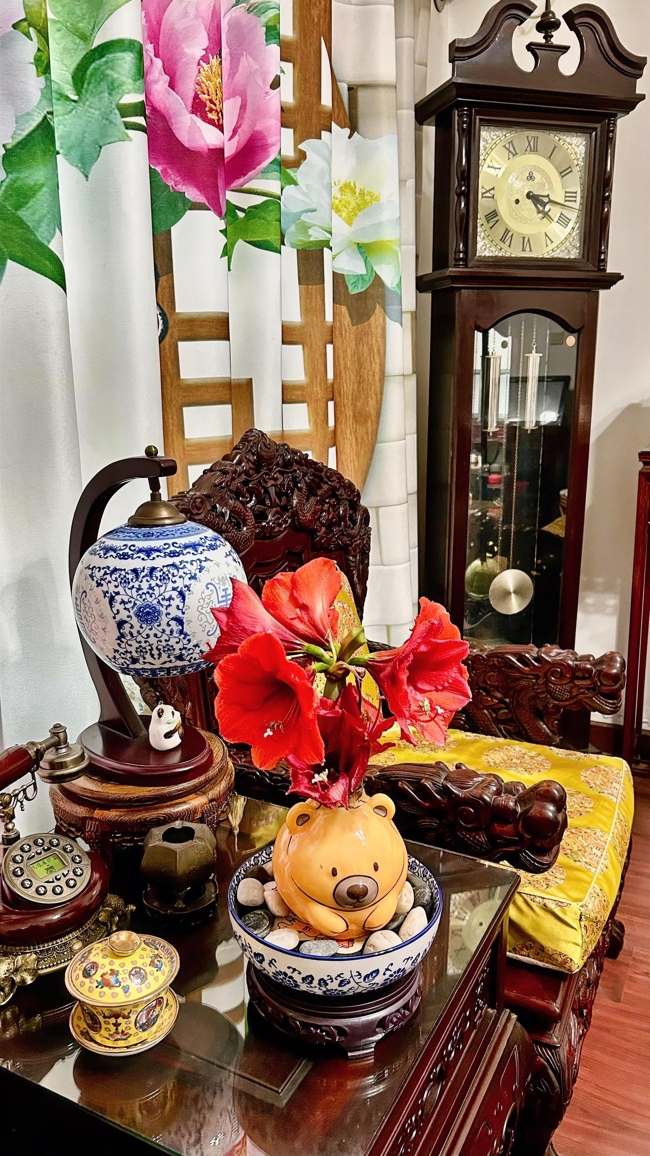 一盆赏心悦目的朱顶红，能给人带来一种愉悦的好心情。