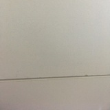 小蚕蚕热品体育