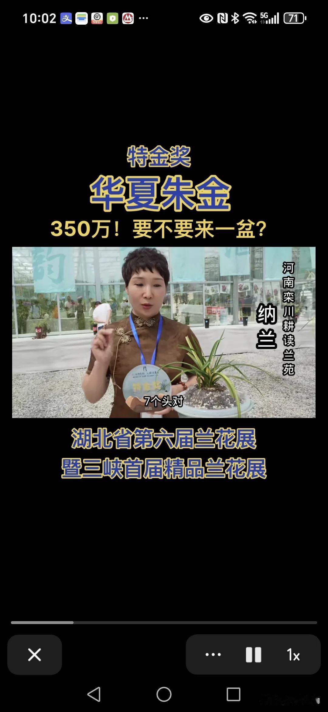 今天给大家饱饱眼福，一盆兰花被人喊出了350万的天价。[尬笑]

就在湖北省第六