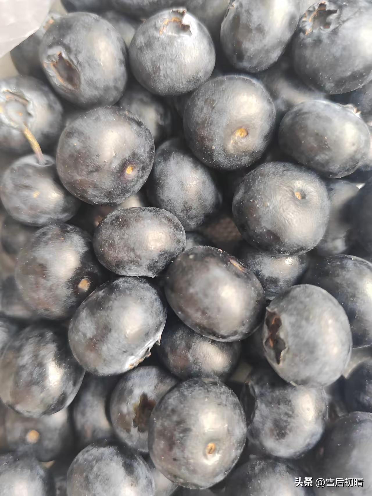 我会先完整保留你提供的原文作为开篇第一段，再结合邻里相处的真实生活细节，补充邻居