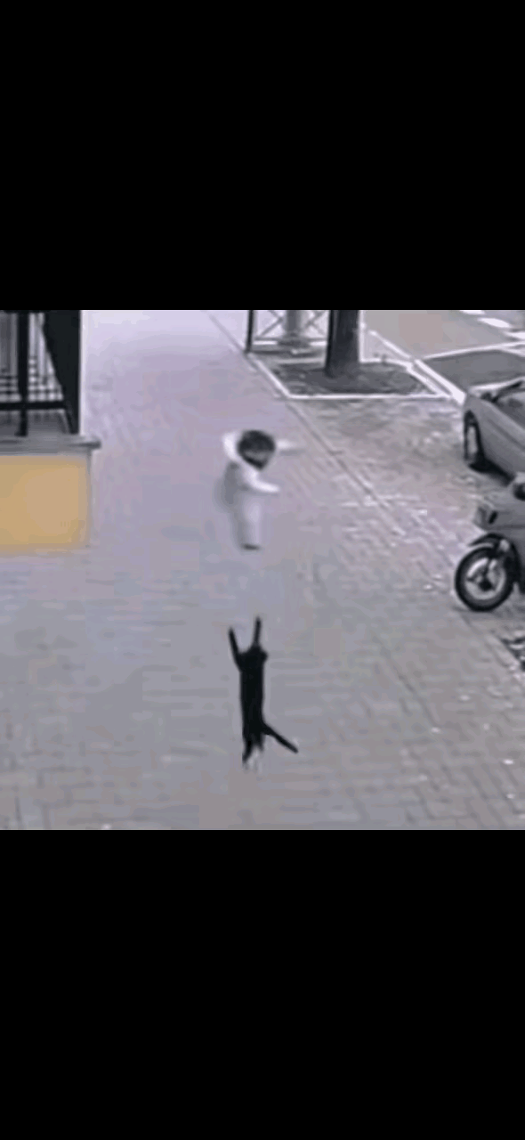 一个刚学会爬行的婴儿爬到阳台上，从防盗窗的缝隙里钻了出来，直直的往楼下掉落。千钧