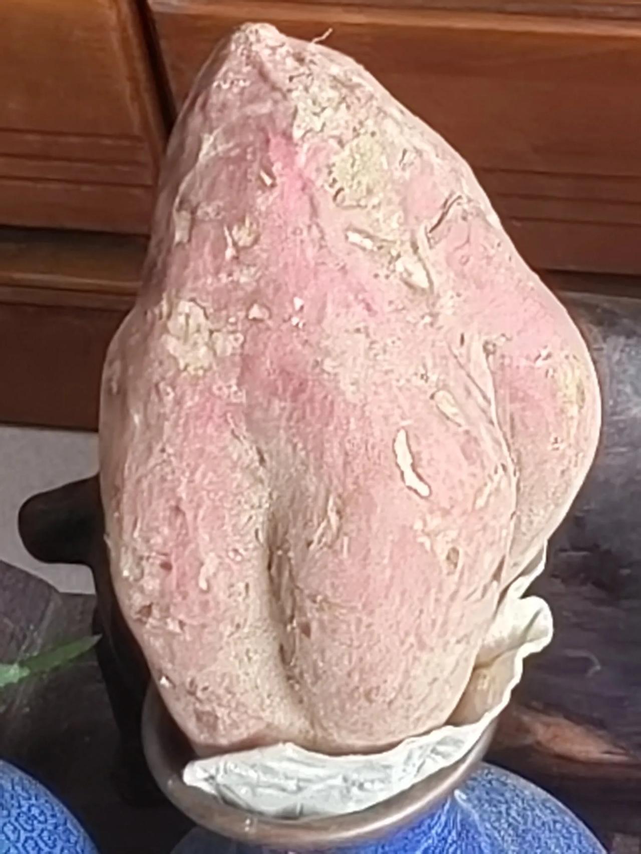 它长成了艺术品！