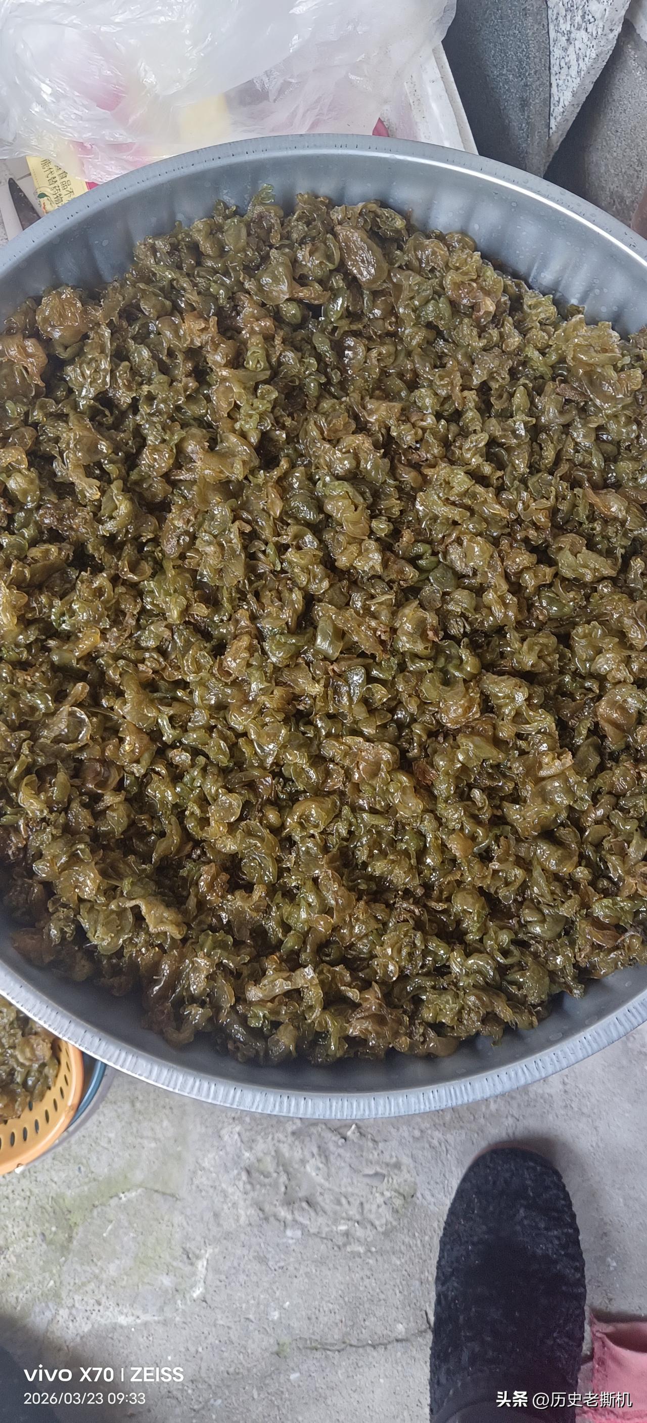 谁懂啊！雨后山上疯长的“雷公屎”，洗到怀疑人生，却比山珍还鲜！城里人有钱都买不到