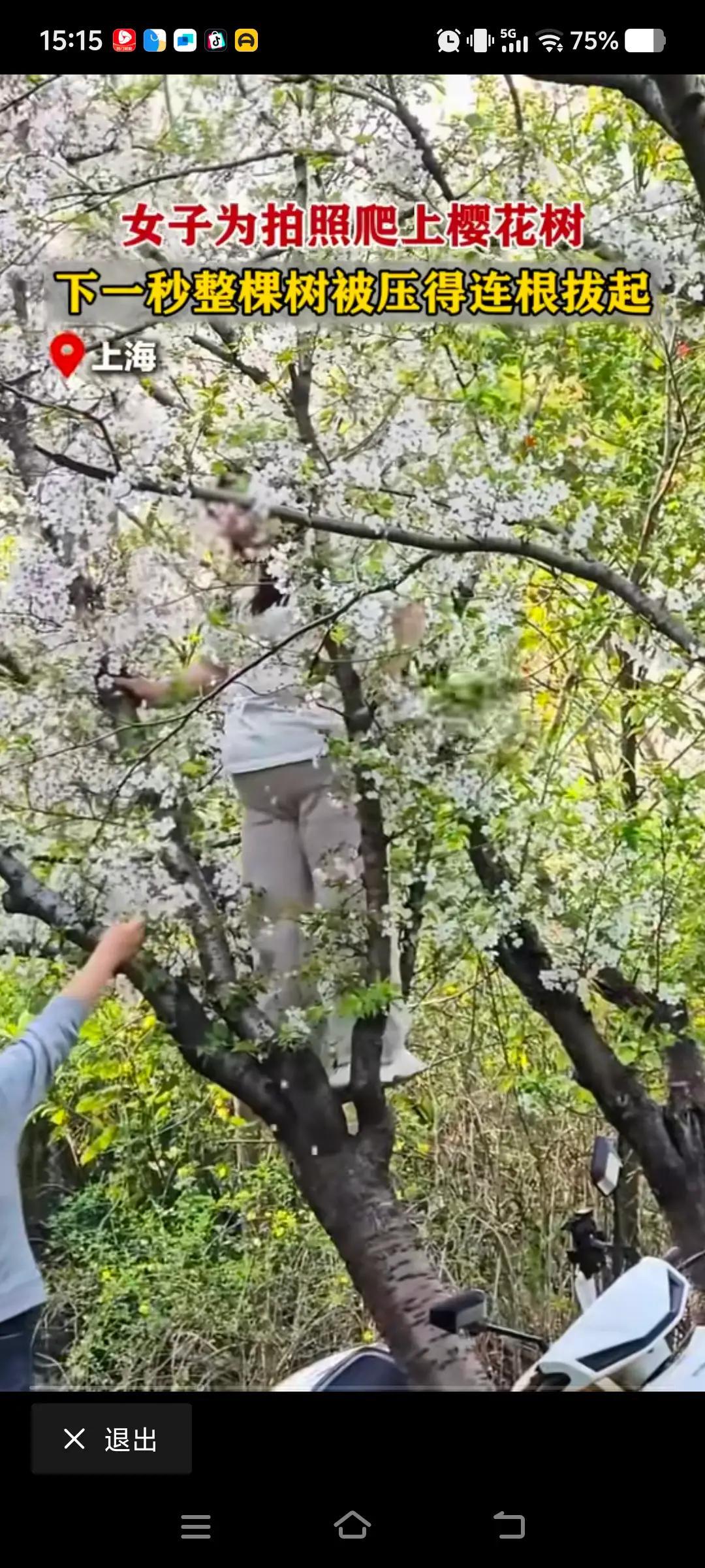 这么没素质，看体格不是上海人