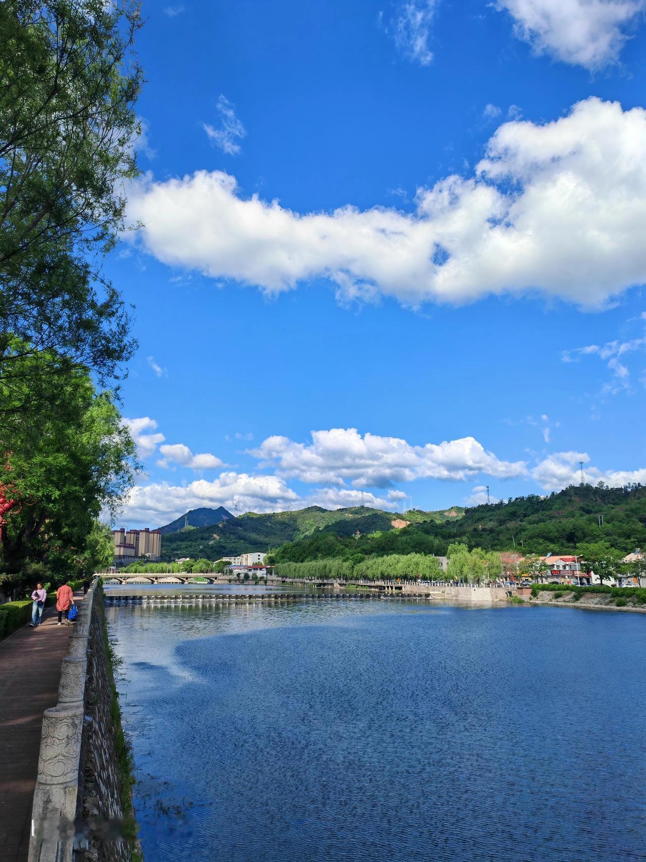今天随手一拍，就捕捉到了夏天超绝的美景！
抬头是蓝蓝的天，像被水洗过一样澄澈，白