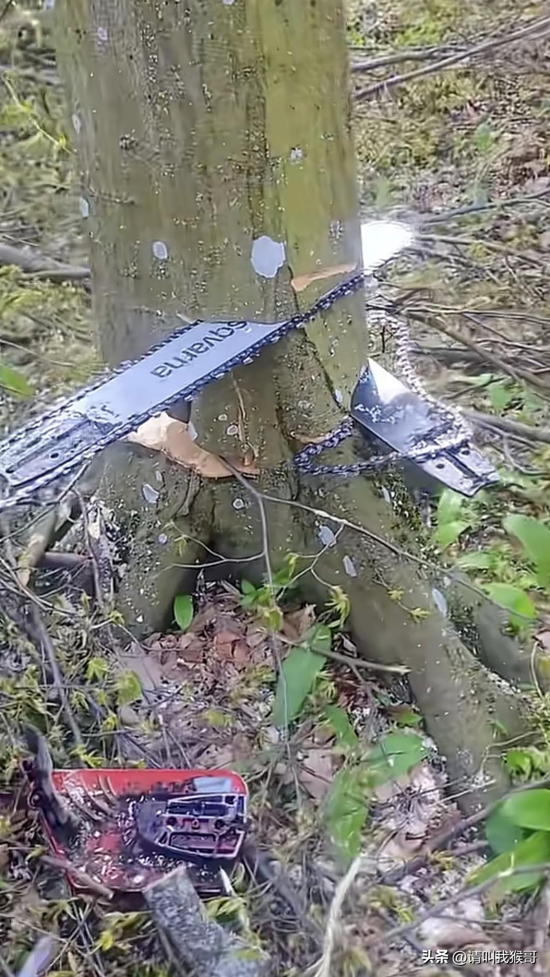 这次是真的遇到硬茬了……