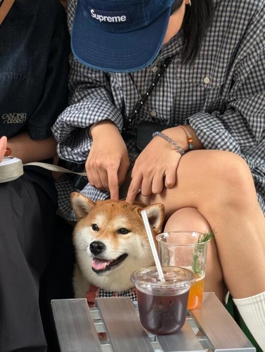 请你不要到处抠抠