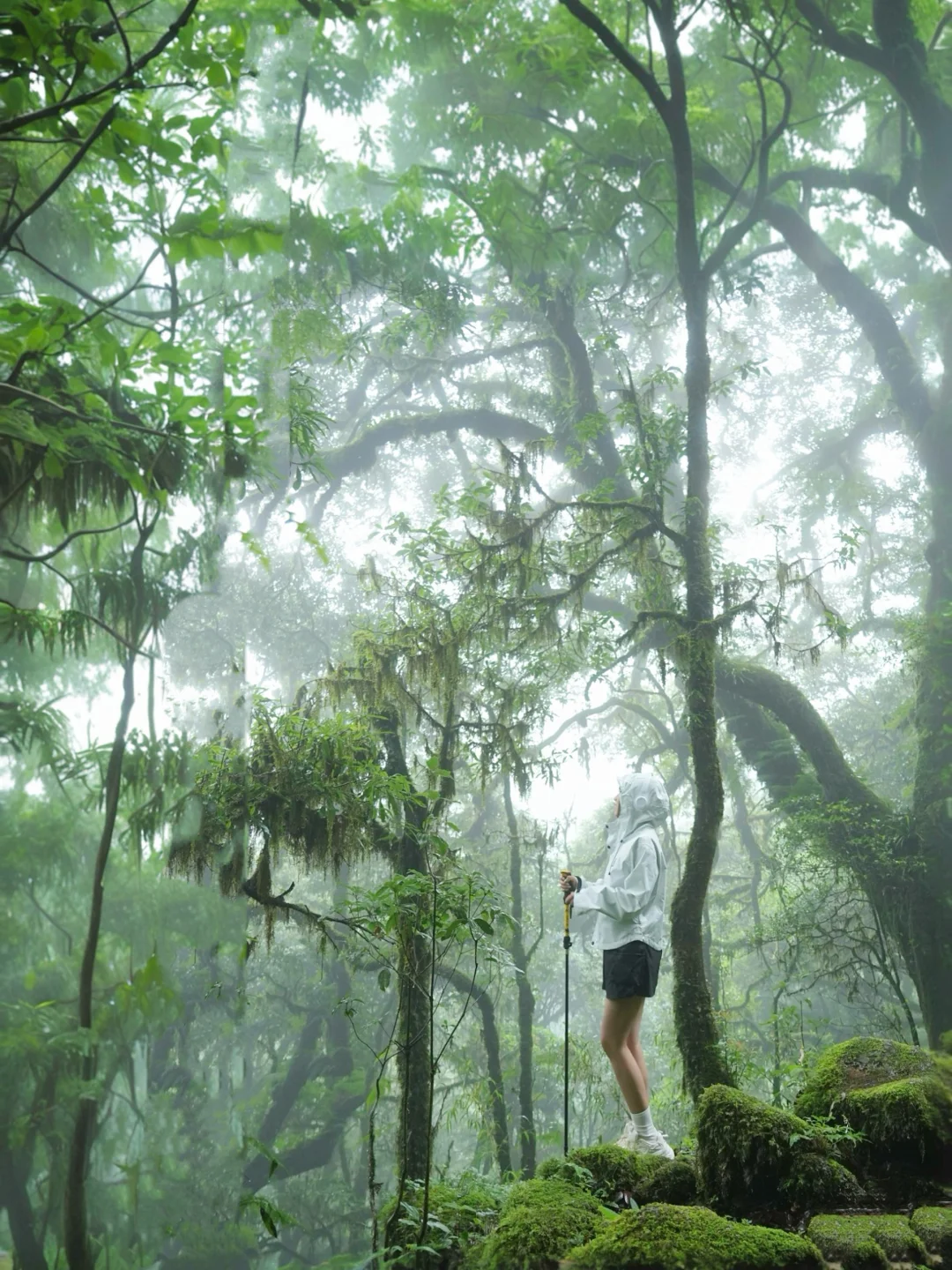 迄今为止，我最爱的夏日徒步路线！🌿