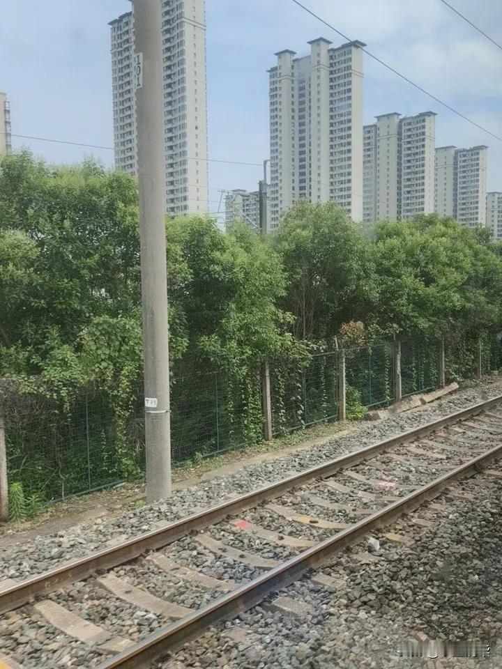 晒出你今天的感悟出发在路上，深圳国际文博会见……深圳高级感展览 深圳展會 创意文
