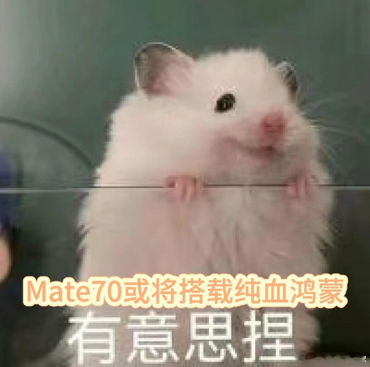 #华为Mate70#曾几何时，我们国产厂商都在为造出软硬件自给自足的高端手机而发
